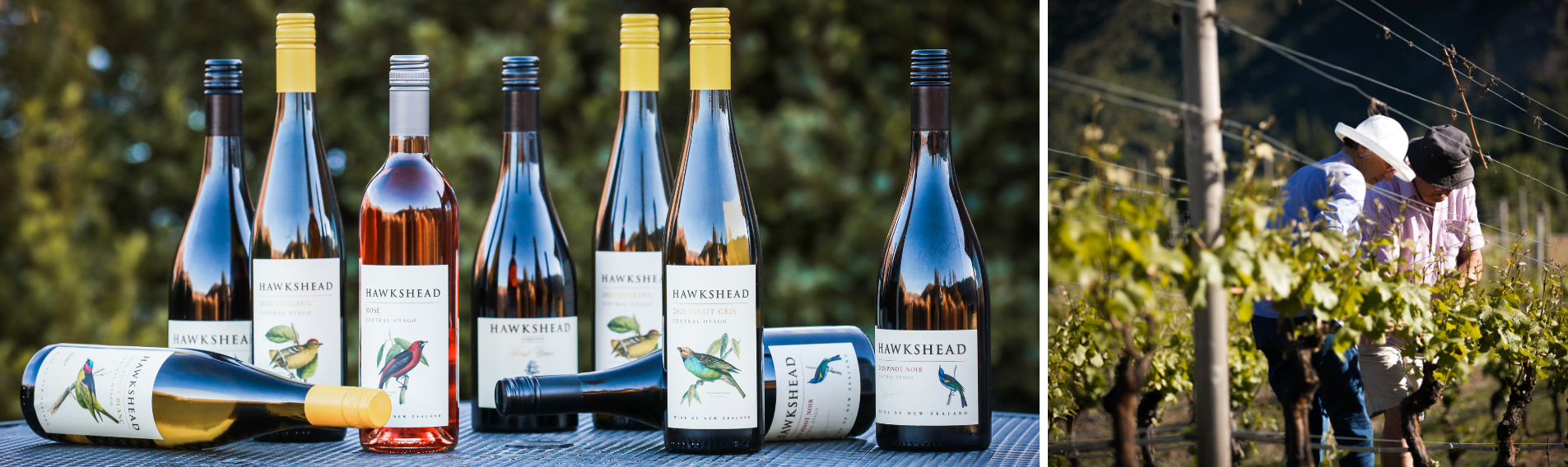 Hawkshead Wine Hawkshead Wine