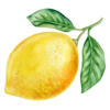 Lemon