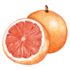 Grapefruit