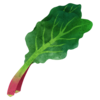 Rhubarb