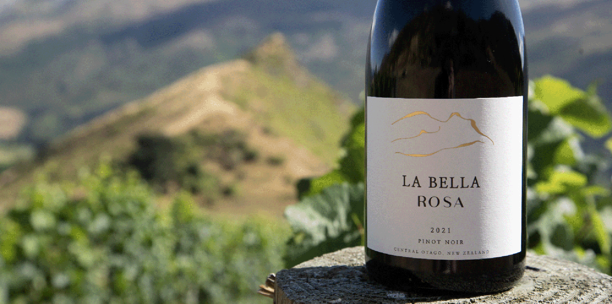 La Bella Rosa Pinot Noir Mt Rosa Lodge | La Bella Rosa Pinot Noir