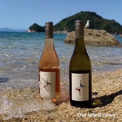 Wines in surf - our latest news
