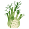 Fennel