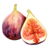 Fig