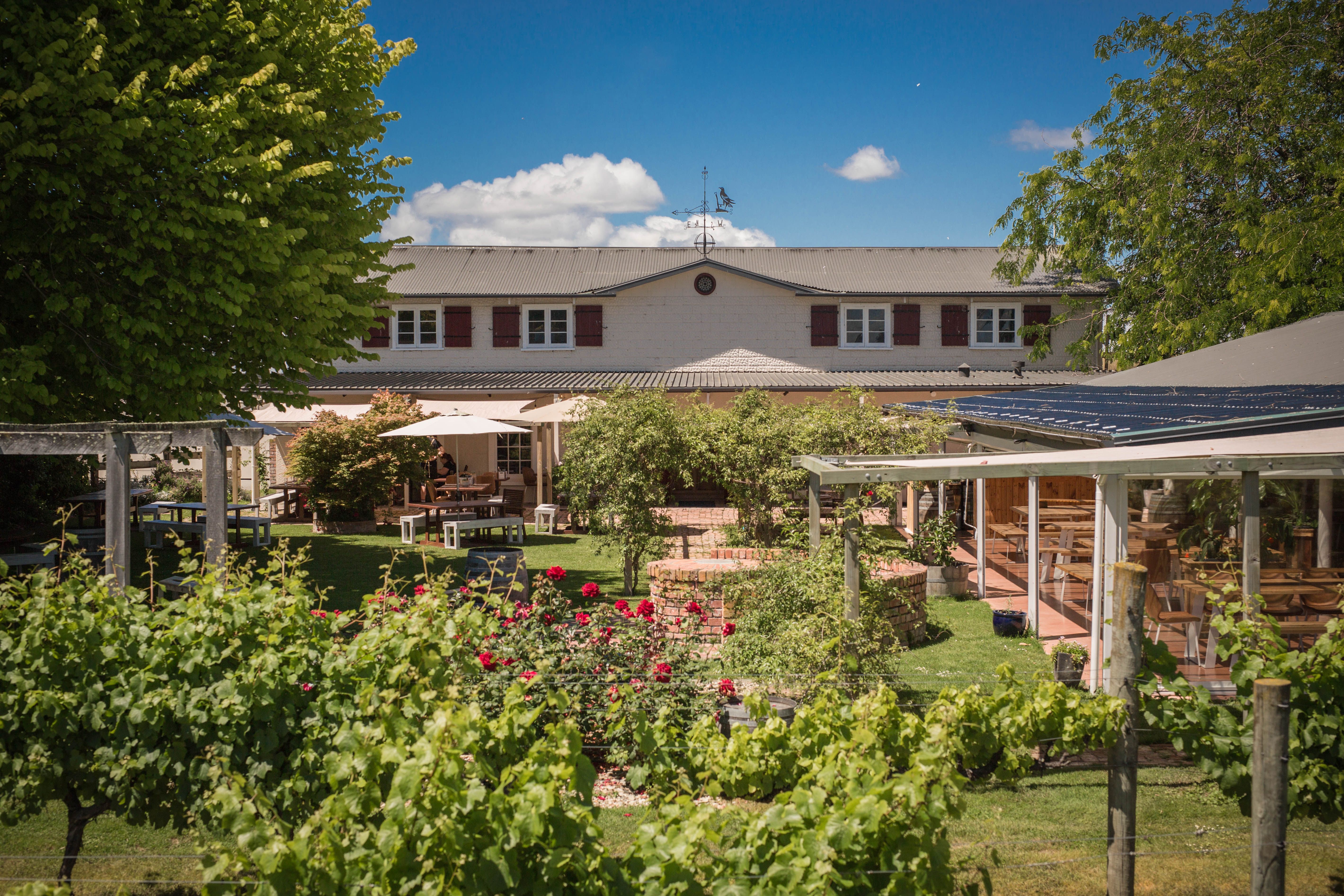 Brookfields Vineyards