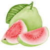 Guava