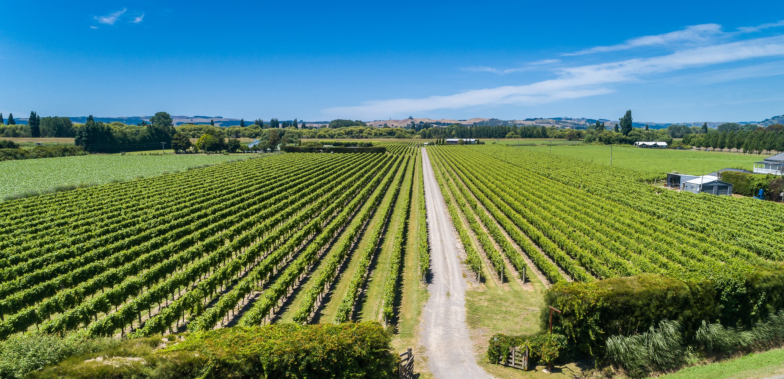 Maxim Wines & Vineyard