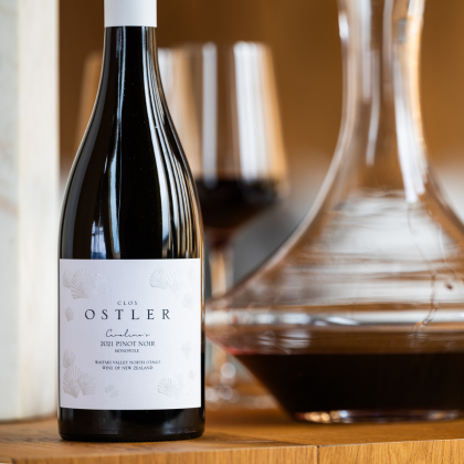 Caroline's Pinot Noir 2021