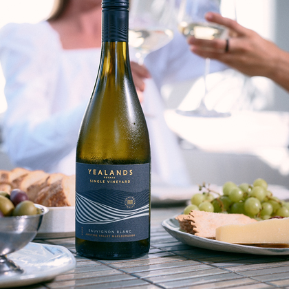 Our Wines