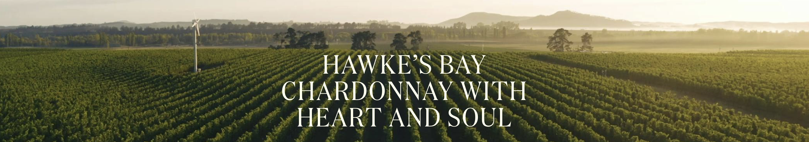 Screenshot 2025-08-01 at 9.45.03 AM.png