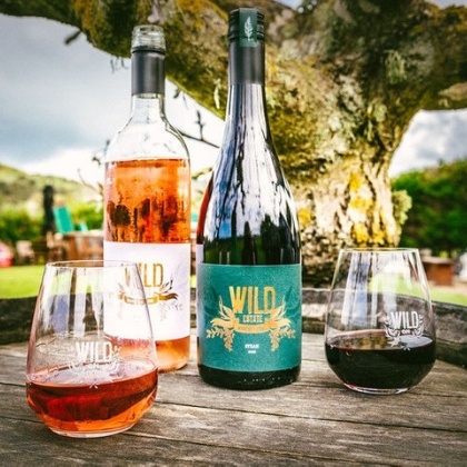 Wild Estate Vineyard Tasting