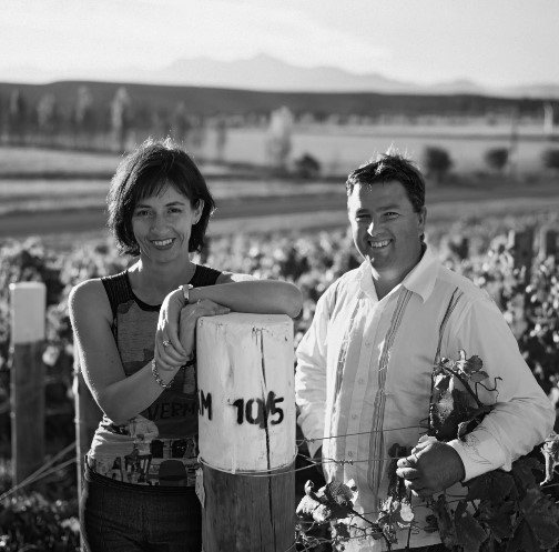 Our Wines
