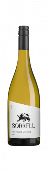 Sorrell Wines Auntsfield Sauvignon Blanc 2022