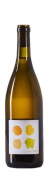 15 Minute Bottles Test Pots Skin Fermented Riesling 2023