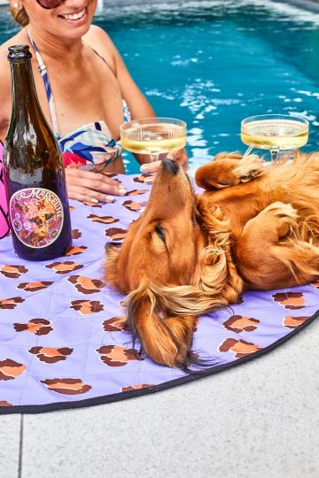 Swift Wines Marceline Sparkling 2023 750ml