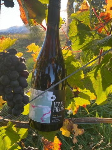 Home Fields Reserve Pinot Noir 2024 750ml