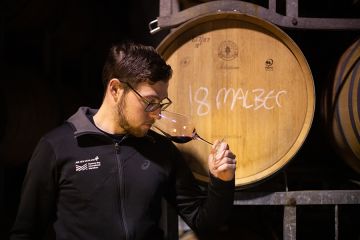 Tyler's Picks Red Pack NV 6.8l