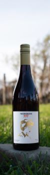 The Graduates 777 Pinot Noir 2025