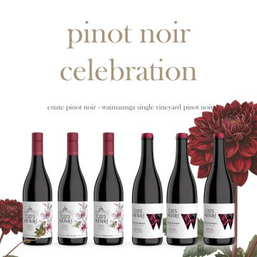 Pinot Noir Celebration Red Pack NV 4.5l