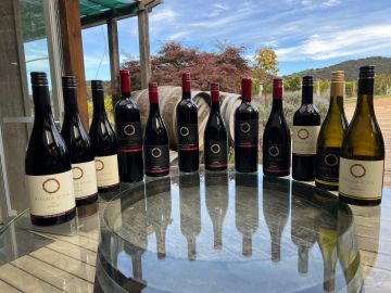 viking 12 pack 2025 Red Pack NV 11.3l