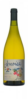 Amoise Amphora Albarino 2023