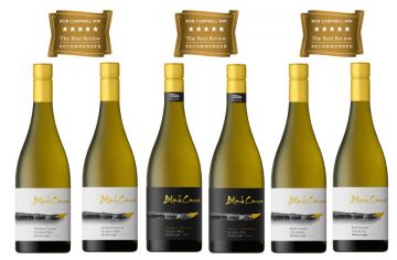 Blank Canvas 95+ Point Whites White Pack NV 4.5l