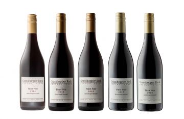 Grasshopper Rock Vertical 2015 to 2019 Red Pack NV 11.3l