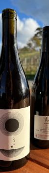 Aard Komorebi Syrah 2024