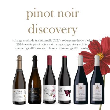 Pinot Noir Discovery Red Pack NV 4.5l