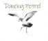 WCD_e-cellar-door-Dancing-Petrel-logo.jpg